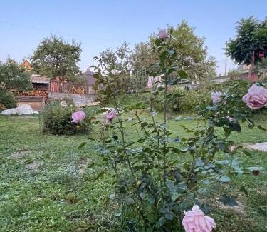 Levoca Apartamento | Apartmány Kašper