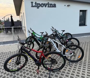 Mala Trna Apartamento | Apartmány Lipovina