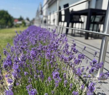 Mala Trna Apartamento | Apartmány Lipovina