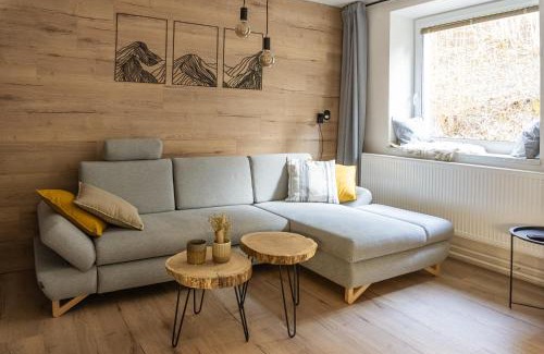 Jesenik Apartamento | Apartmány Mýtinka - Jeseníky