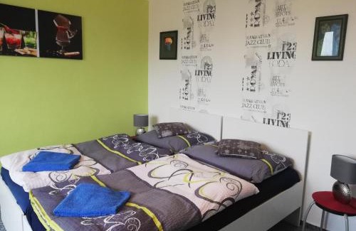 Nove Hrady Apartamento | Apartmány MK u MODRÉ KOČKY