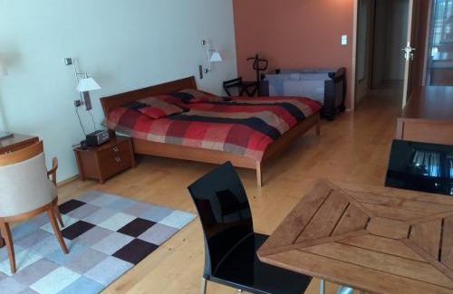 Senec Apartamento | Apartmány Puerto