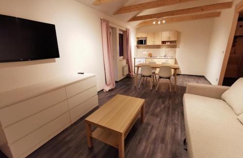 Loucna nad Desnou Apartamento | Apartmány Ski areal Kareš