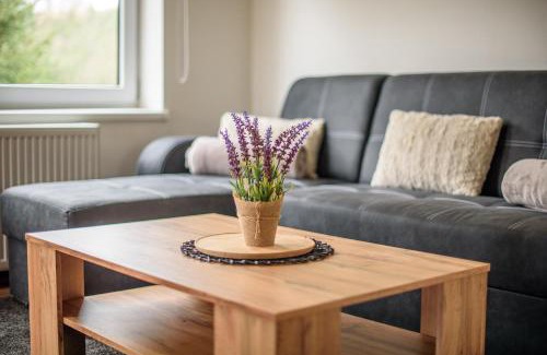 Horni Radechova Apartamento | Apartmány Slavíkov - Superior Apartmán