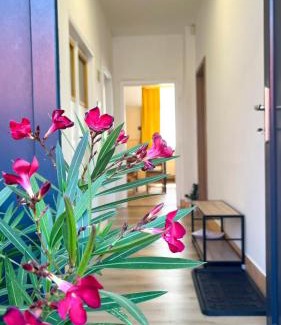 Jakubovany Apartamento | Apartmány SVRČINKY