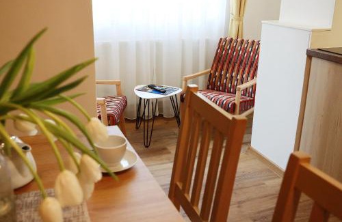 Jachymov Apartamento | Apartmány Tatra