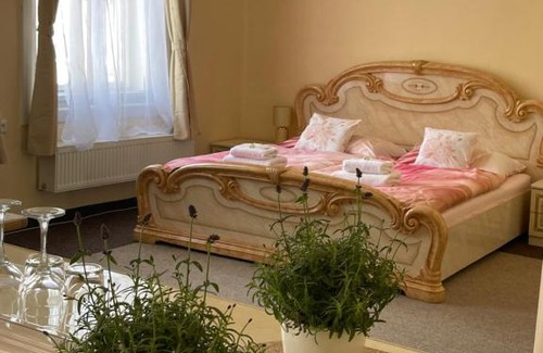 Tyniste nad Orlici Casa | Apartmány vila Týniště