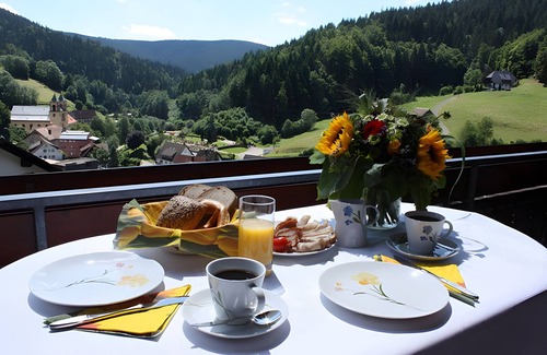 Bad Rippoldsau-Schapbach Apartamento | Apartment 'Margot Armbruster' with Mountain View, Balcony and Wi-Fi