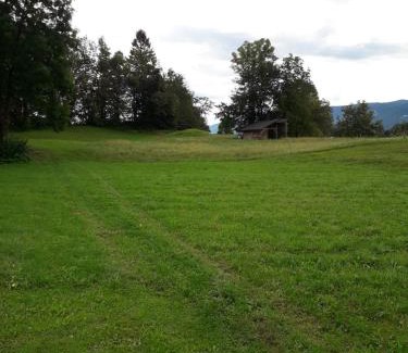 Gorje Apartamento | Apartma Eržen