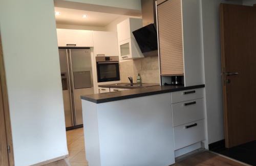 Trzic Apartamento | Apartma Jelendol