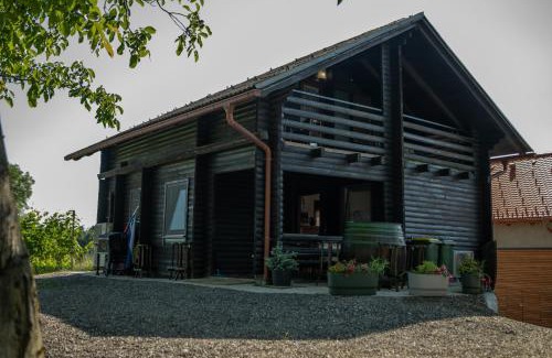 Ljutomer Apartamento | Apartma med vinogradi