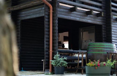 Ljutomer Apartamento | Apartma med vinogradi