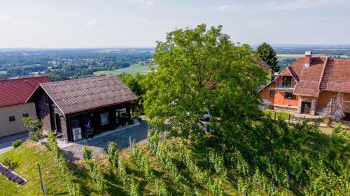 Ljutomer Apartamento | Apartma med vinogradi