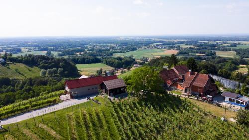 Ljutomer Apartamento | Apartma med vinogradi