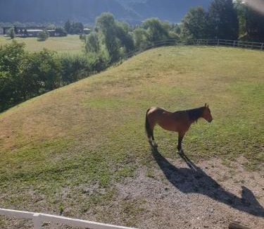 Kobarid Apartamento | Apartma Morizna