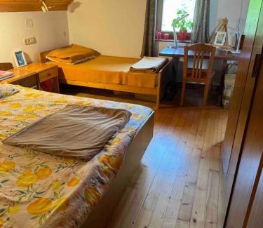 Cetena Ravan Apartamento | Apartma Pri Tavčarju
