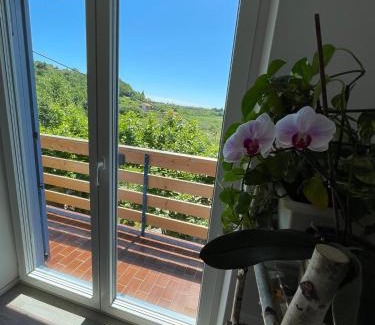 Lucija Apartamento | Apartma Salvia-Guest House