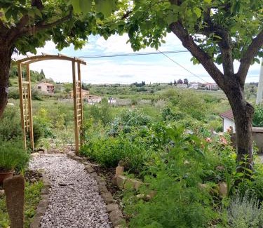 Lucija Apartamento | Apartma Salvia-Guest House