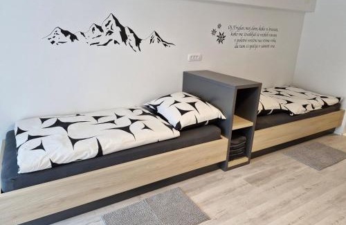 Dovje Apartamento | Apartma Vovk
