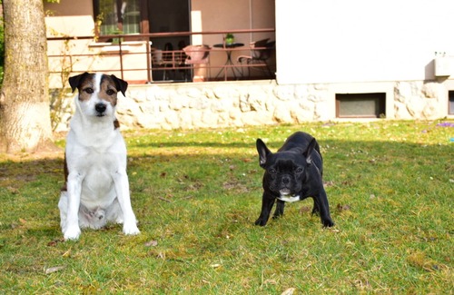 Bled Apartamento | Apartmaji Koman, Bled - For 5 - Pet Friendly!