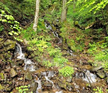 Pohorje Apartamento | Apartmaji Vouk - sodobni apartmaji v objemu narave - Lukanja - Rogla - Primerno za pare in družine - Sprostitev in aktivno preživljanje prostega časa