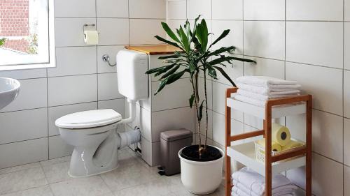 Municipality of Krizevci Apartamento | Apartman 13