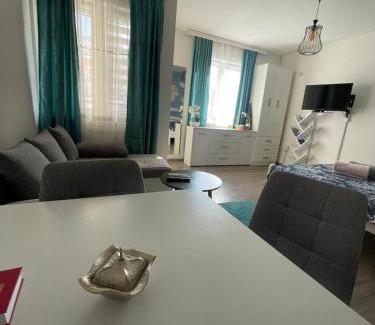 Banja Koviljaca Apartamento | Apartman 14