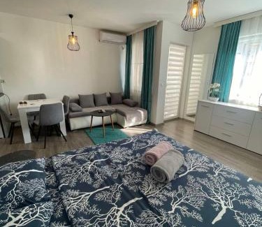 Banja Koviljaca Apartamento | Apartman 14