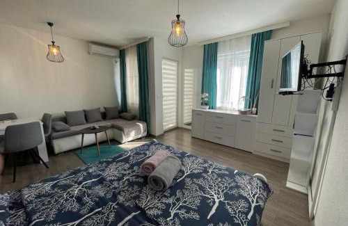 Banja Koviljaca Apartamento | Apartman 14