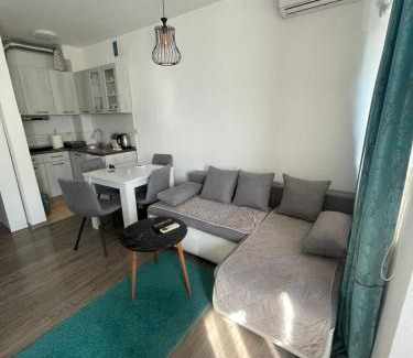 Banja Koviljaca Apartamento | Apartman 14