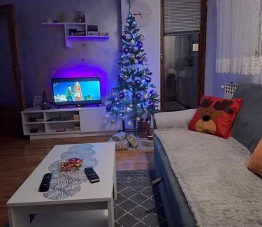 Pale Apartamento | Apartman 19