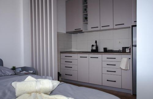 Kraljevo Apartamento | Apartman 21