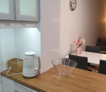 Grbavica Apartamento | Apartman 33 FREE PRIVATE GARAGE