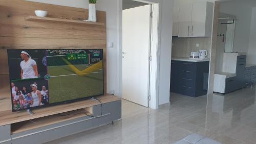 Veliko Gradiste Apartamento | Apartman 4 BMB