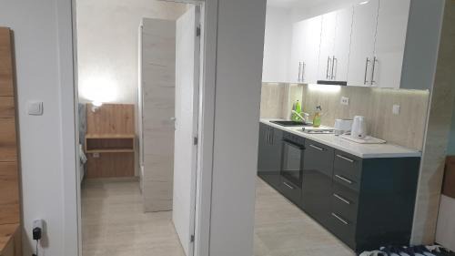 Veliko Gradiste Apartamento | Apartman 4 BMB