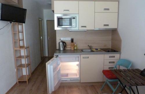 Vsemina Apartamento | Apartman 4 Vsemina Valassko