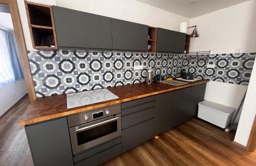 Abertamy Apartamento | Apartman 7 Plesivec