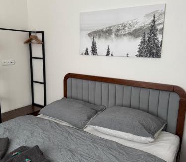 Abertamy Apartamento | Apartman 7 Plesivec