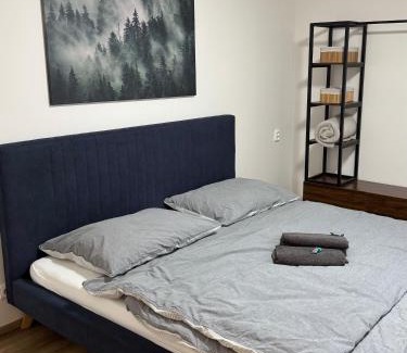 Abertamy Apartamento | Apartman 7 Plesivec