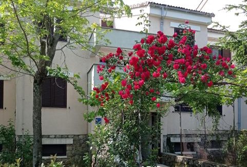 Cikovici Apartamento | Apartman Adrijana Kastav, free WiFi & parking, 2 bedrooms & sea view