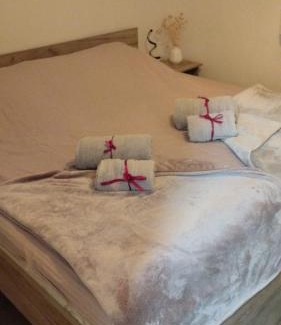 Backa Topola Apartamento | Apartman Aleksandra u strogom centru grada