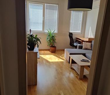 Medijana Apartamento | Apartman Aleksic