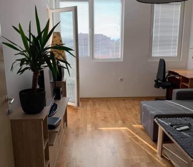 Medijana Apartamento | Apartman Aleksic