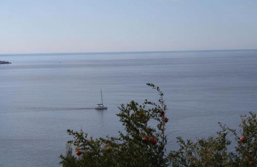 Lozica Apartamento | Apartman Anka