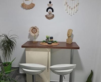 Zajecar Apartamento | Apartman Arsić Zajecar