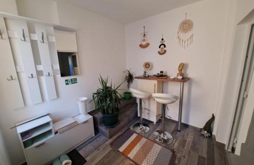 Zajecar Apartamento | Apartman Arsić Zajecar