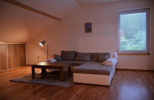 Janov nad Nisou Apartamento | Apartman Aya
