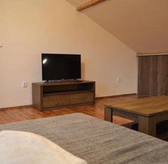 Janov nad Nisou Apartamento | Apartman Aya