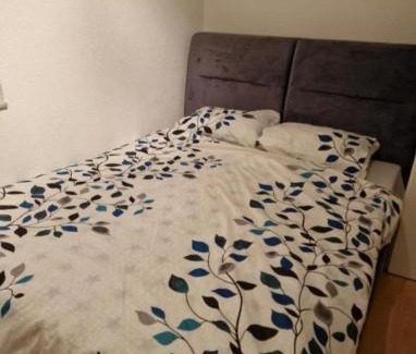 Bijeljina Apartamento | Apartman Big