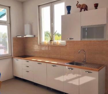 Mrgani Apartamento | Apartman Brina
